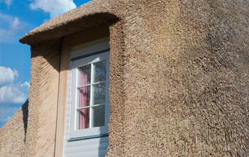 Cefnpennar thatch roof disadvantages